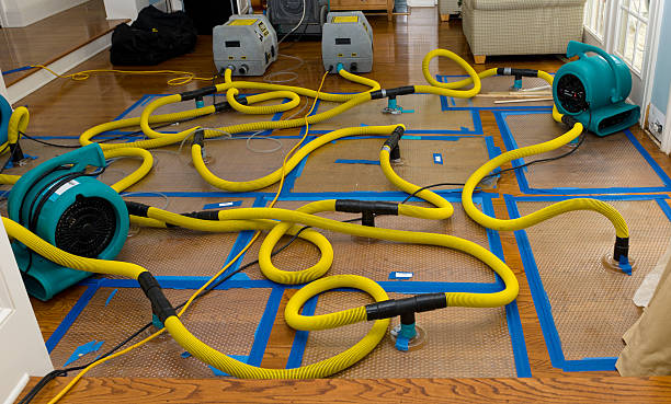Professional Burst Pipe Water Damage technician working in Huntland, TN