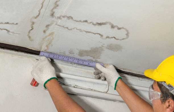 Affordable Water Damage Repair solutions in Huntland, TN